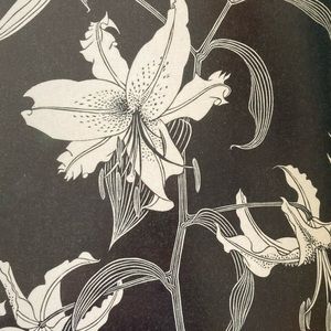 Meet your Posher, Ariel